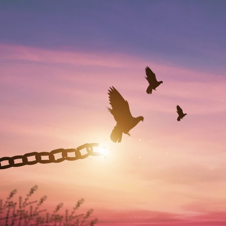 Weiße Engel-Feder mit goldenen Akzenten vor einem einfachen, violetten Hintergrund.